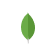 MongoDB Icon